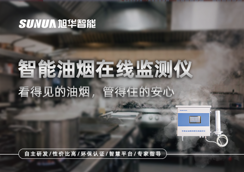 智能油烟在线监测仪：看得见的油烟，管得住的安心